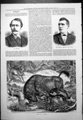 Old Mr Maybrick J Higgins Champion Thames Fight Forest Bull Wolves 1877 19th