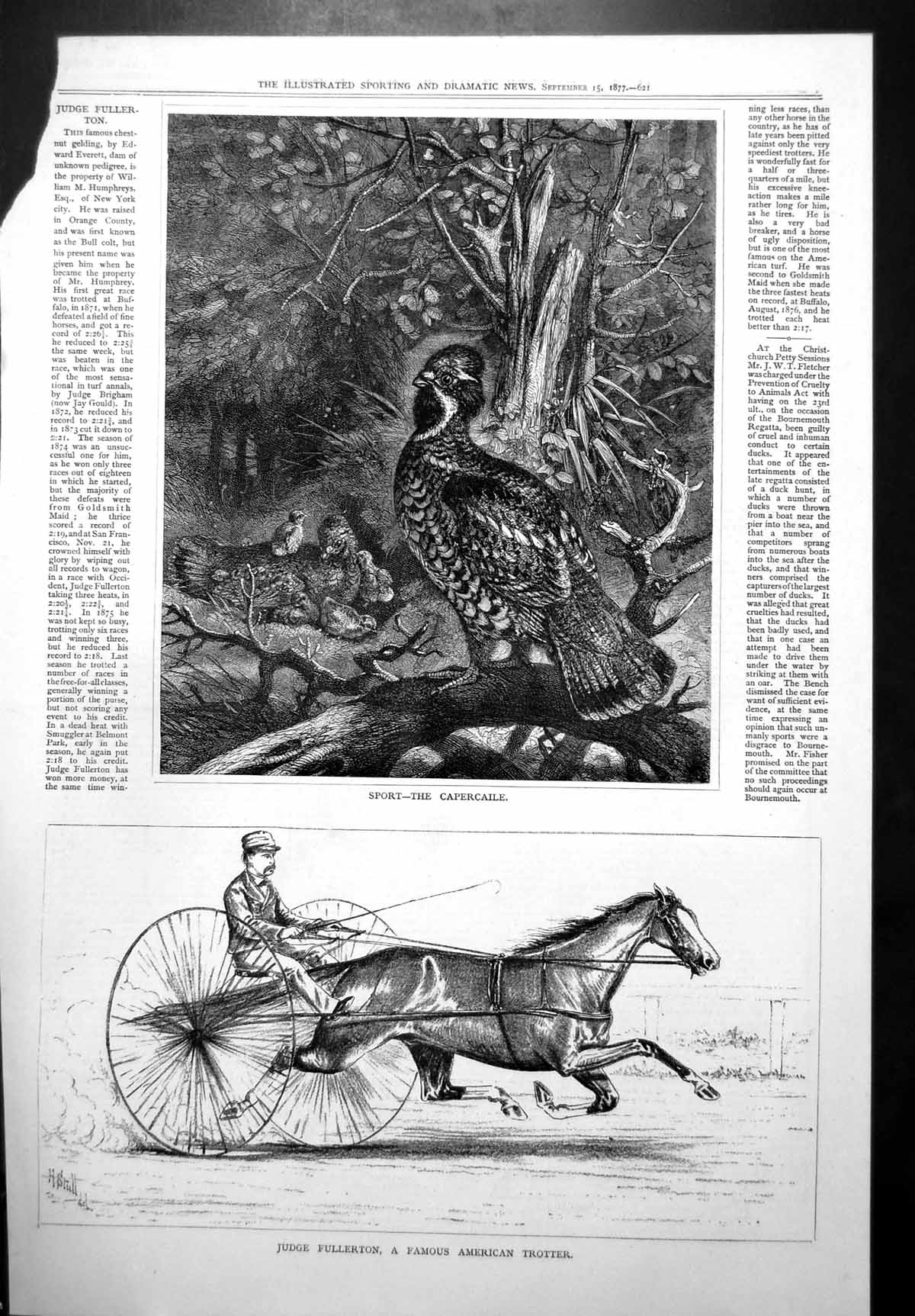 Antique Print Sport Capercaile Judge Fullerton Famous American Trotter 1877
