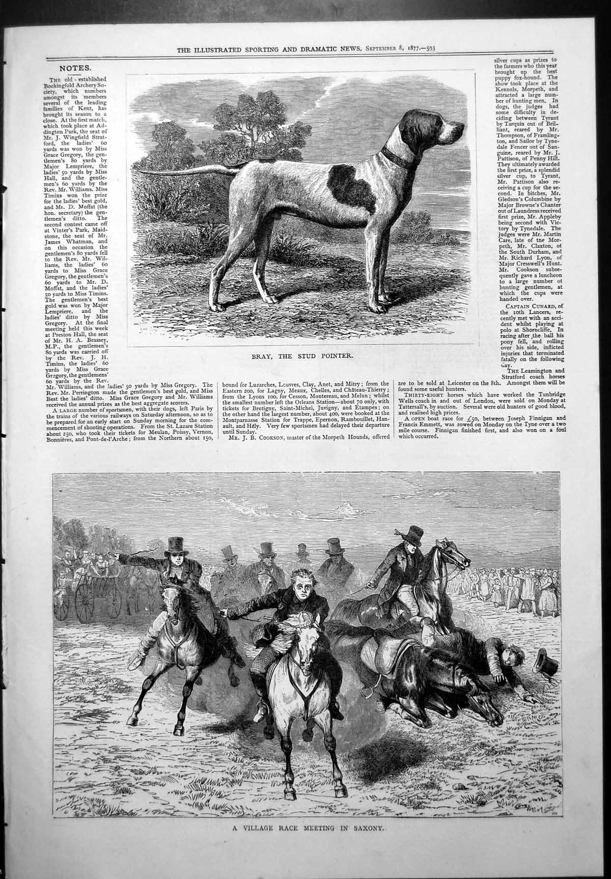 Old Print Bray Stud Pointer Village Race Meeting Saxony Horse Fallen 1877 19th