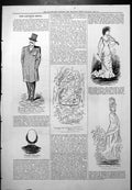 Old Captious Critic Signors Andrea Luigi Gatti Promenade Concerts 1877 19th