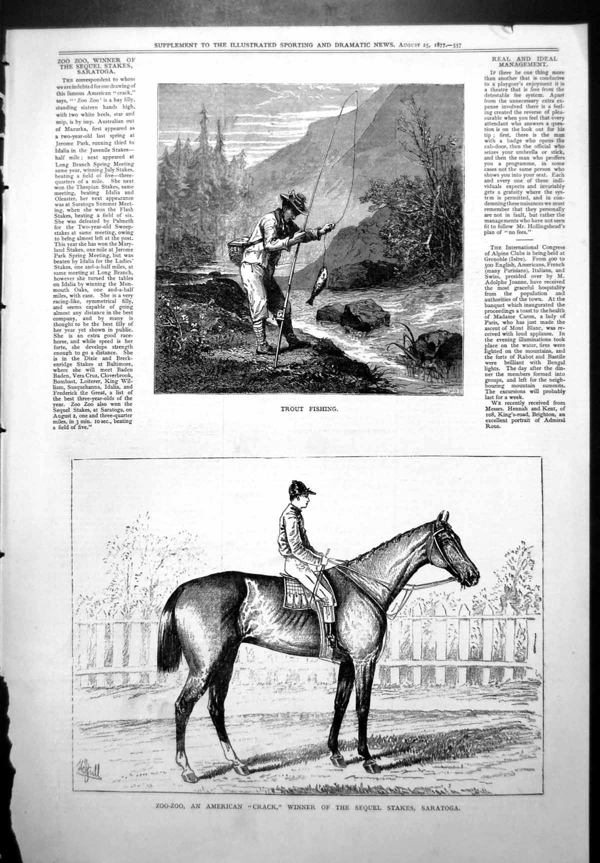 Old Trout Fishing Zoo-Zoo American Crack Winner Stakes Saratoga 1877 Victorian