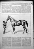 Antique Old Print Wallsend J Sturgess Horse Reins Held Trainer Or Owner 1877