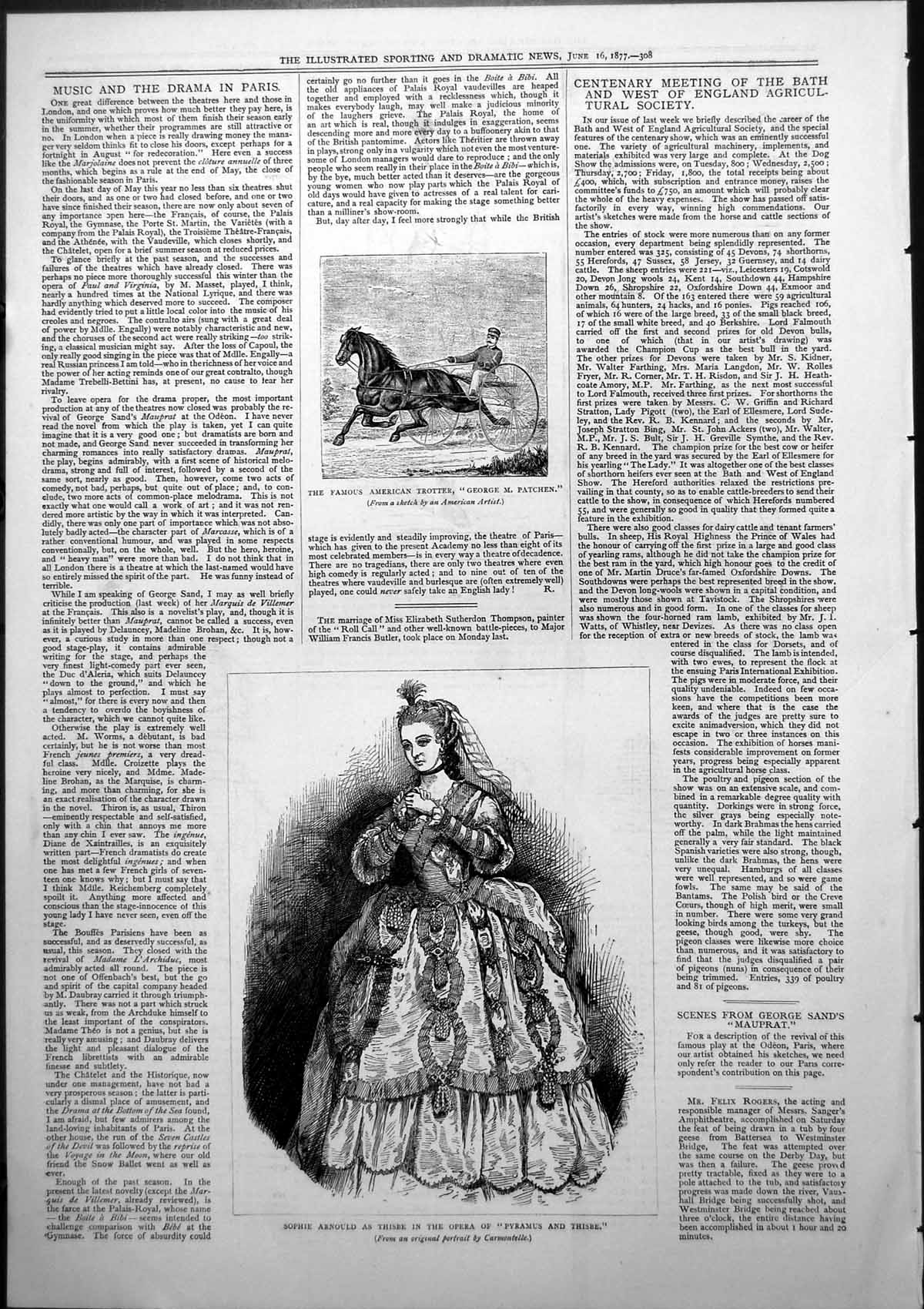 Old American Trotter George Patchen Sophie Arnould Pyramus Thisbe1877 Victorian