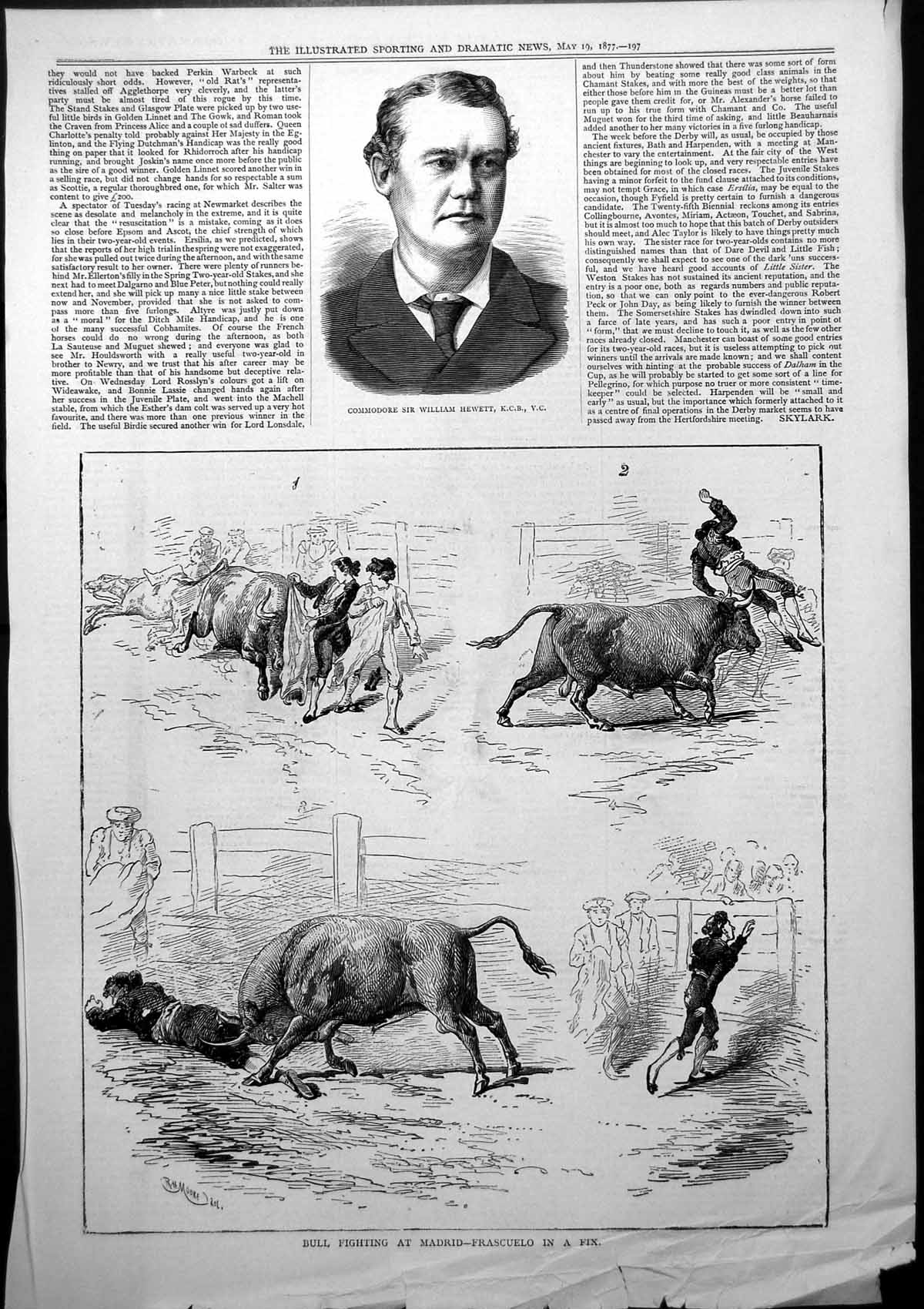 Old Commodore Sir William Hewett Bull Fighting Madrid Frascuelo 1877 Victorian