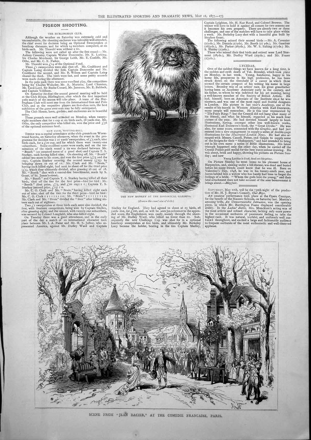 Antique Print New Monkey Zoo Scene Jean Dacier Comedie Francaise Paris 1877