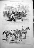 Old Netting Fish Thames Teddington Winners City Suburban John Day 187 Victorian