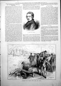 Original Old Antique Print Famous Whip Stocking Thames Carp Tench 1877 19th