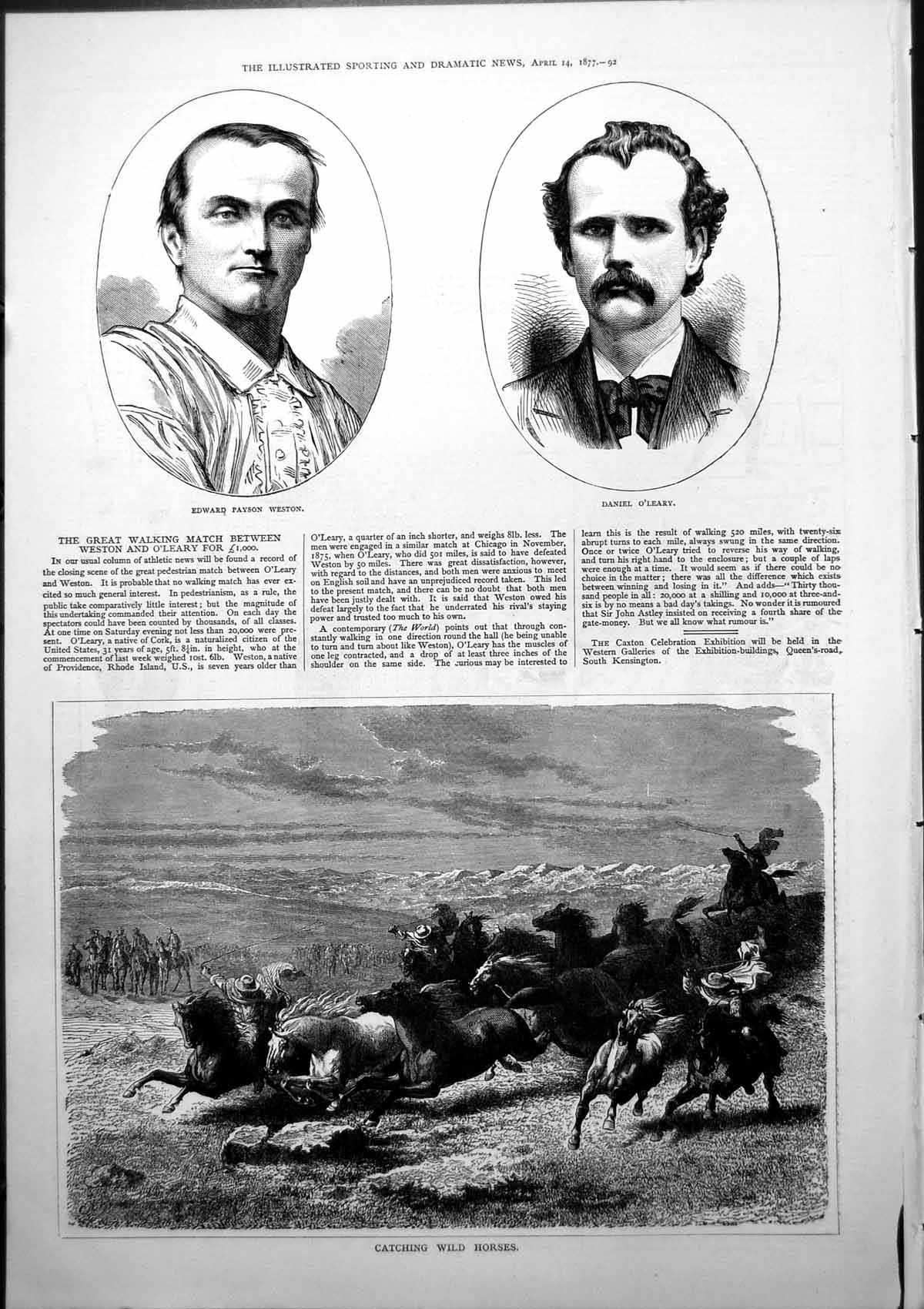 Old Print Walking Edward Weston Daniel O'Leary Catching Wild Horses 1877 19th
