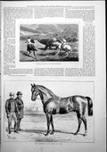 Antique Print Huntsmen Attacking Rhinoceros Blankney Stud Horse St Liz 1877