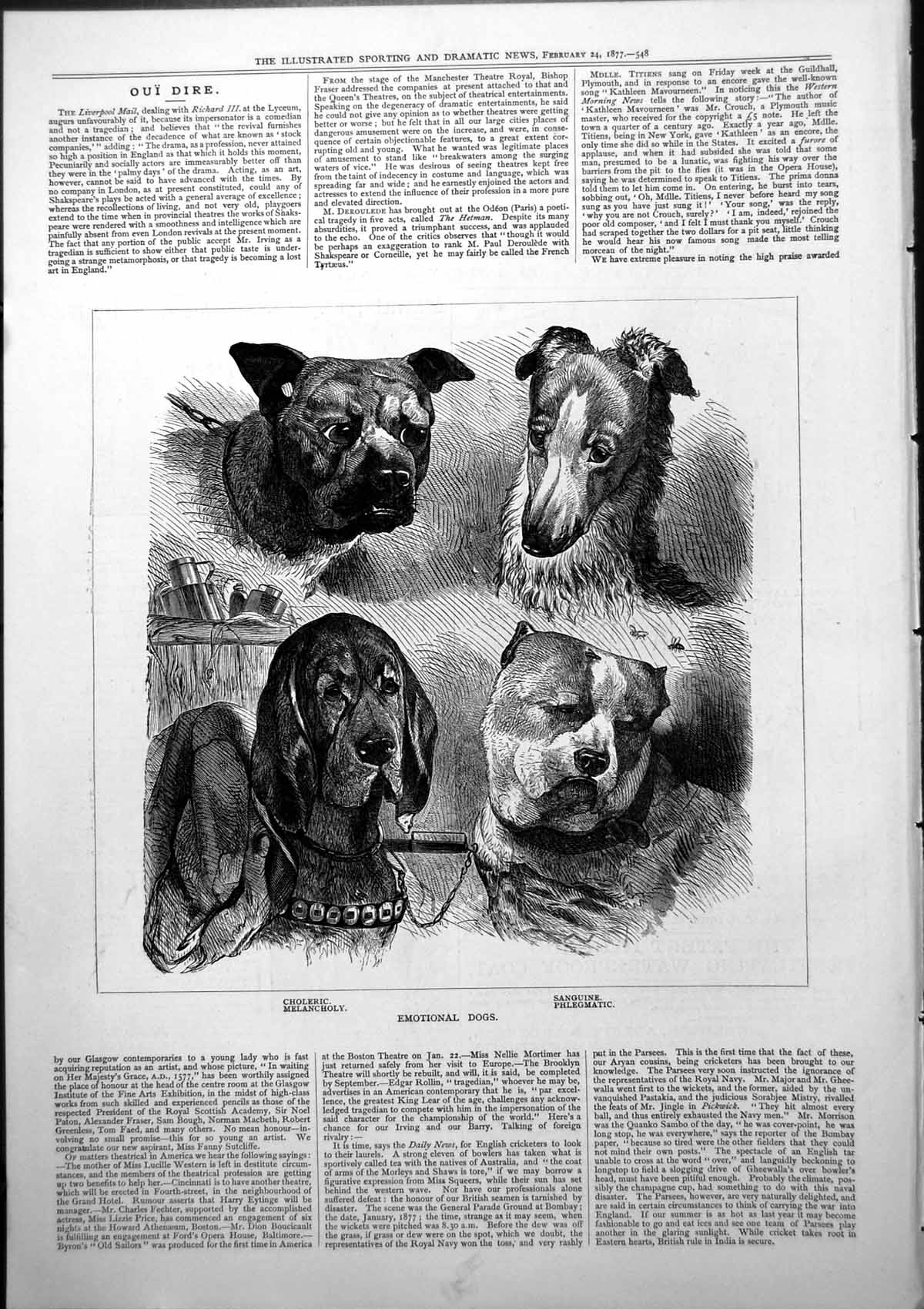 Antique Old Print Emotional Dogs Choleric Melancholy Sanguine Phlegmatic 1877