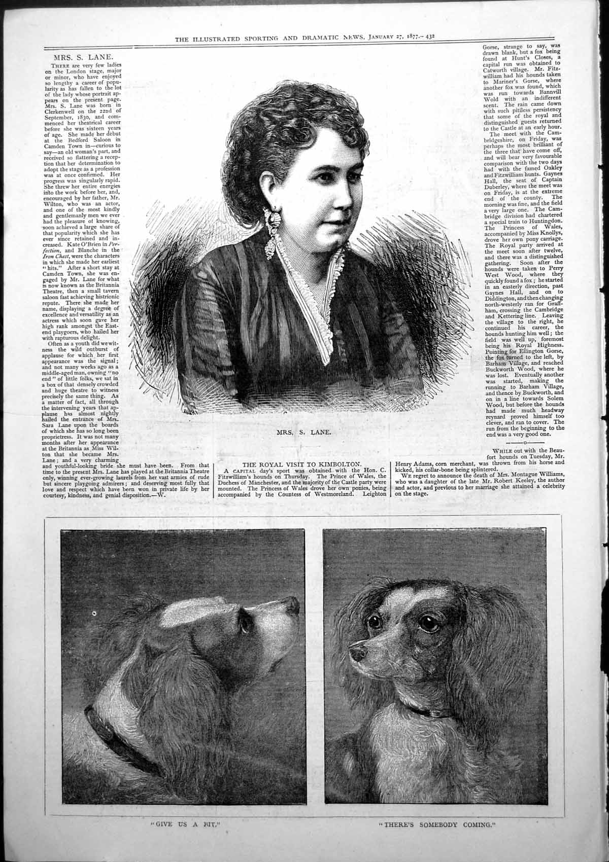 Old Print Mrs S Lane Actress Dogs Give Us Bit Theres Somebody Coming 1877 19th
