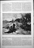 Original Old Antique Print Meant For Me Dead Bird Trap Fox Watching 1877 19th