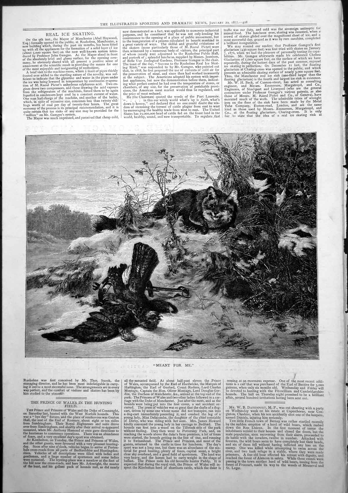 Original Old Antique Print Meant For Me Dead Bird Trap Fox Watching 1877 19th