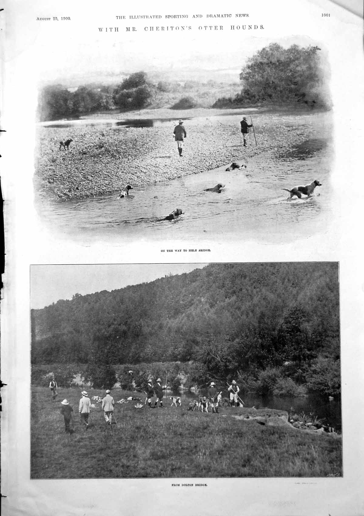 Antique Print Mr Cheritons Otter Hounds Dolton Bridge Late Dr Steinitz 1900
