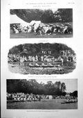 Old Henley Regatta Cricket Oxford Cambridge Lords Stanley Rowley 1900 Victorian