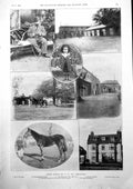 Old Racing Stables F Day Newmarket Norman Prichard Coaching Club 1900 Victorian