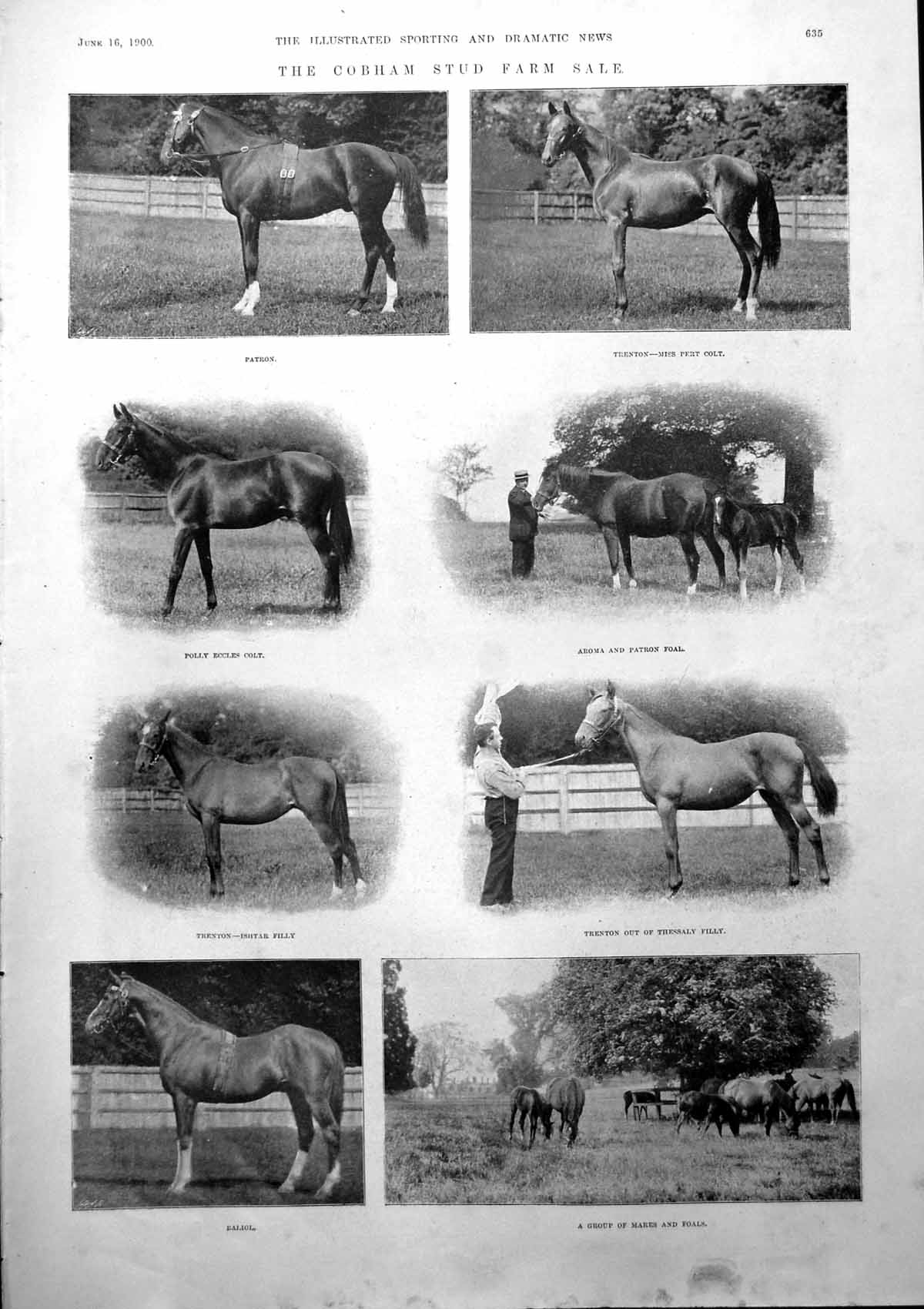 Old Print Cobham Stud Farm Sale Patron Trenton Critic Rip Van Winkle 1900 20th