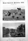 Old R A Pictures Dim Trail Cowboy Trailing Stock Equipped After Sunse