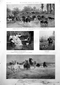 Old Charles 11 Nell Gwynne Horses Bathing Sea Vikings Home Coming 190