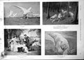 Antique Old Print Nile Birds Dogs Death Into Silent Sea Summer 1900 Damaged