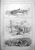 Old Blackhall Castle Roe Deer Drive Captious Critic Miss Esmeralda 18 Victorian