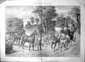Old Pace And Labour John Sturgess Horses Cart Hay Carriage People 190 20th