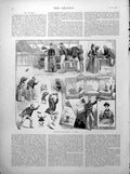 Antique Print Photographing Dog Silvia Myers Leo Myers Bridesmaid Page 1890