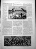 Antique Print Inflexible Malampus Benbow Overland Telegraph Cape Cairo 1894