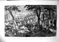 Old Print Hm Stanleys Expedition Exploration Central Africa Spears 1878 19th