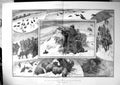 Antique Print End Season Grouse Driving In Snow John Charlton Beaters 1902