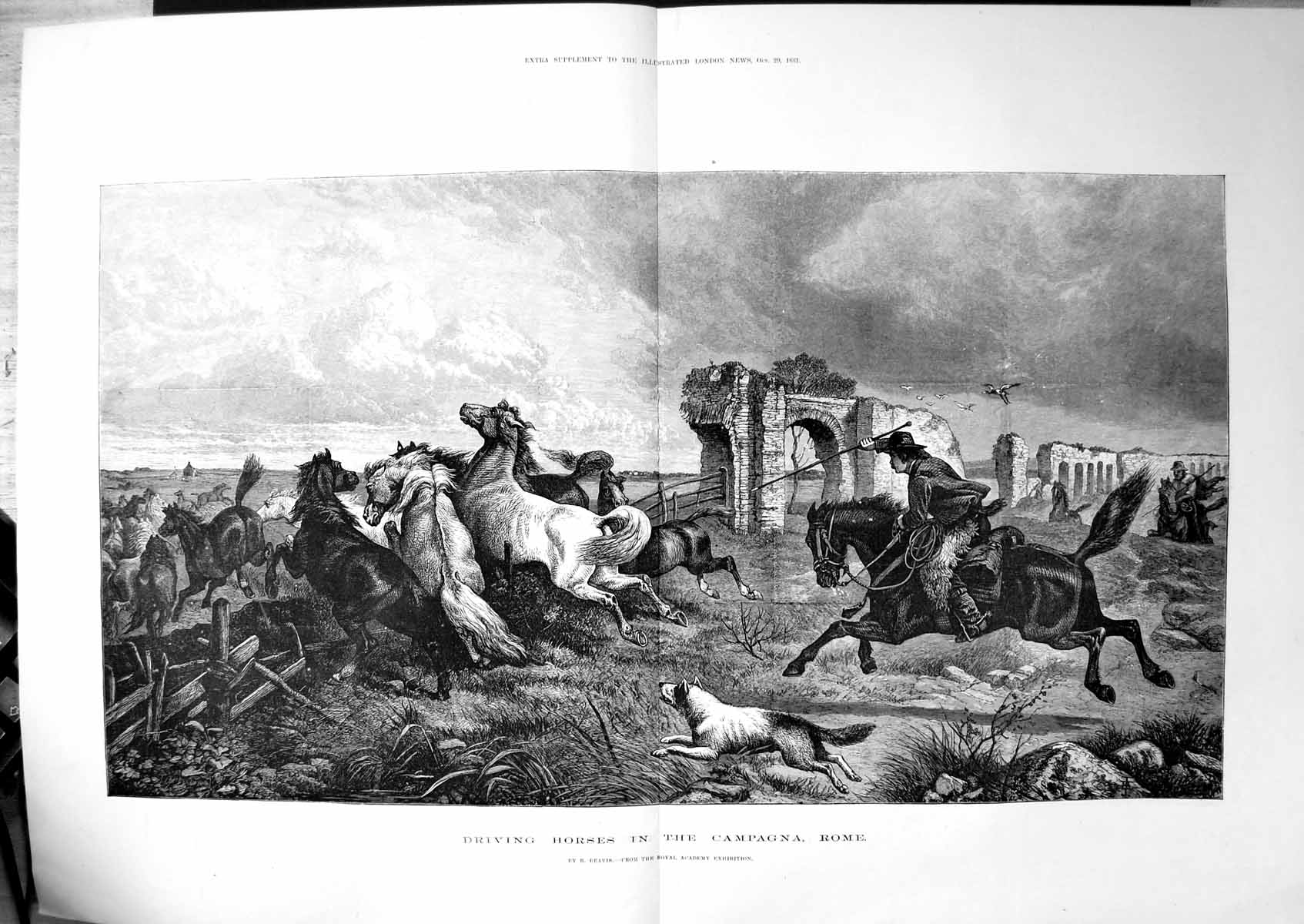 Old Print Driving Horses Campagne Rome R Beavis Men Horseback Ruins 1881 19th