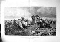 Antique Old Print Driving Horses Campagne Rome R Beavis Ruins Jumping 1881