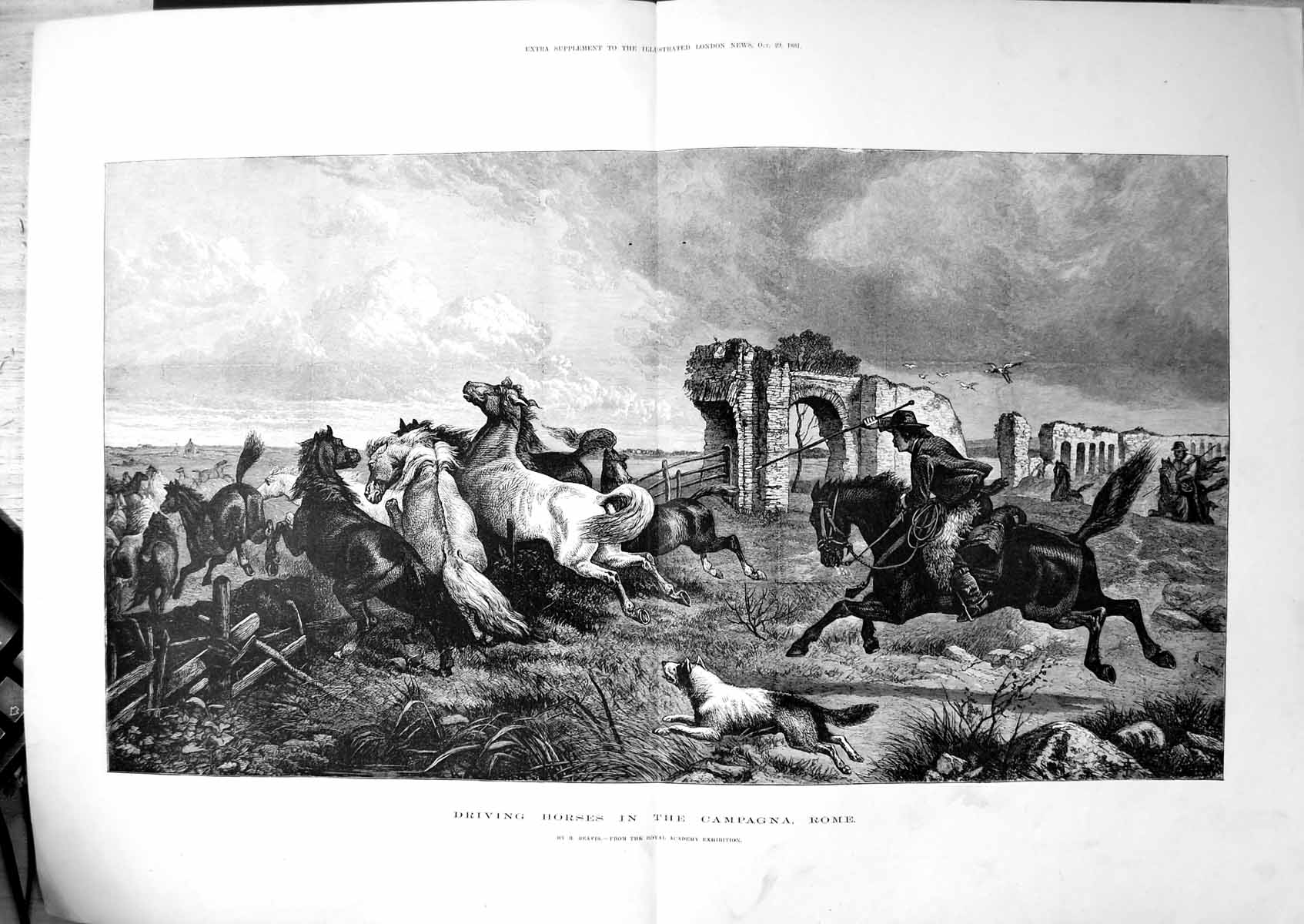 Antique Old Print Driving Horses Campagne Rome R Beavis Ruins Jumping 1881