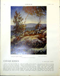 Antique Old Print Two Birch Trees Crw Newison Tritone Edoardo Del Neri 1921