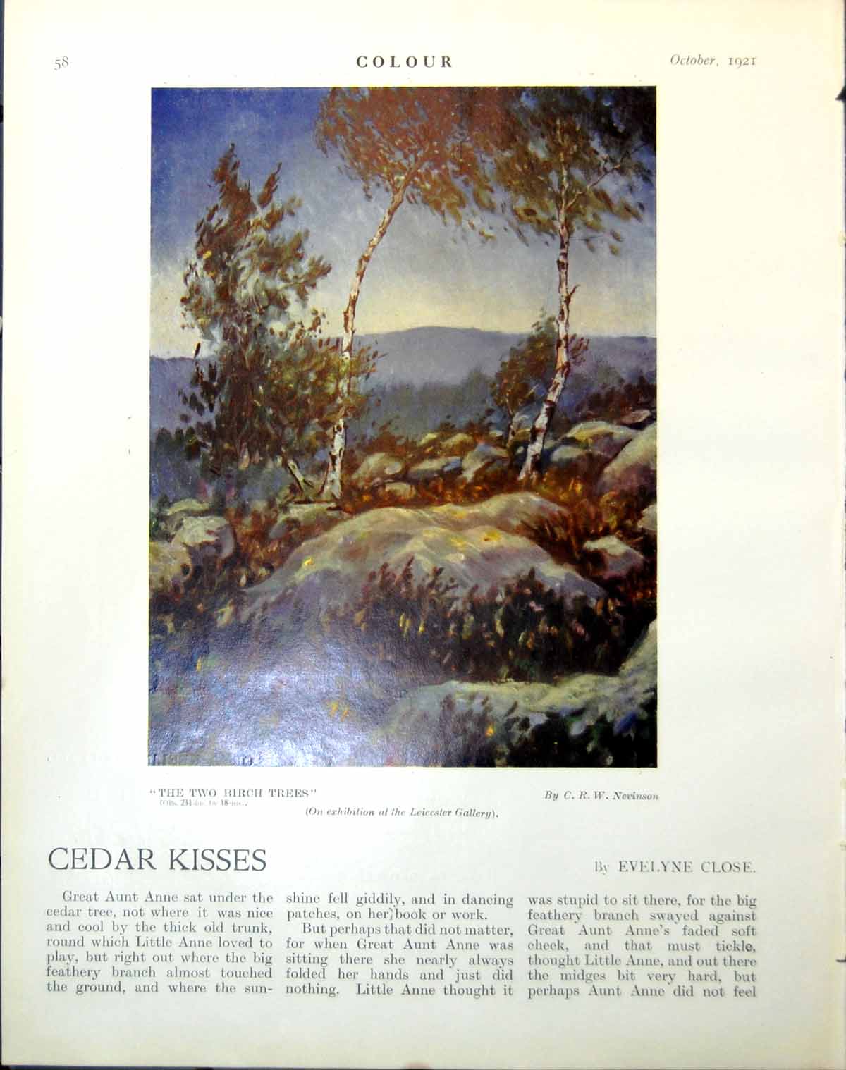 Antique Old Print Two Birch Trees Crw Newison Tritone Edoardo Del Neri 1921