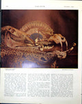 Antique Old Print Skin And Bone O Greenwood Quittin'-Time William Conor 1921