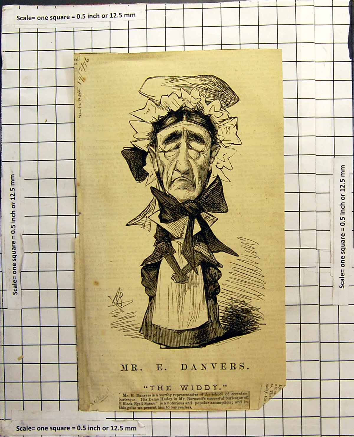 Antique Old Print Mr E Danvers The Widdy Dame Hatley Black Eyed Susan Dress