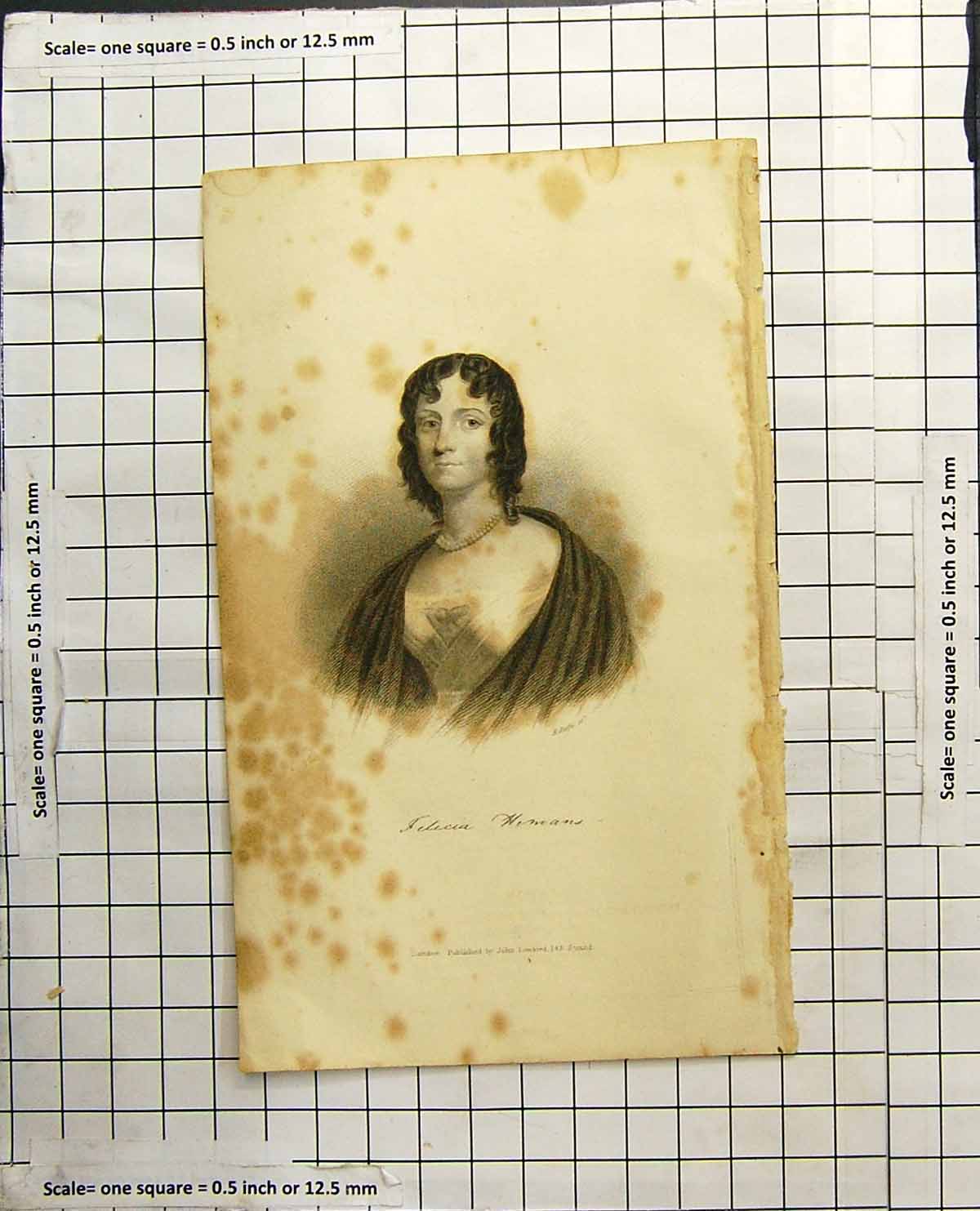 Original Old Antique Print Portrait Lady Felicia Pearl Necklace Shawl