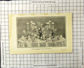 Antique Old Print A Table Arrangement Flowers Pink And White Lilac Lighting