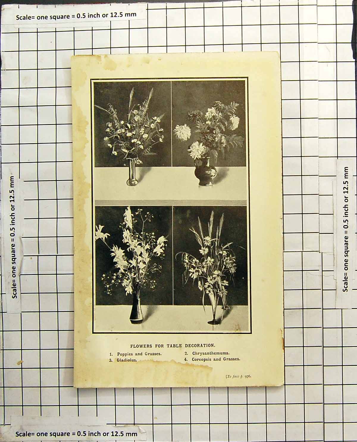 Antique Old Print Flowers Table Decoration Poppies Gladiolus Chrysanthemums