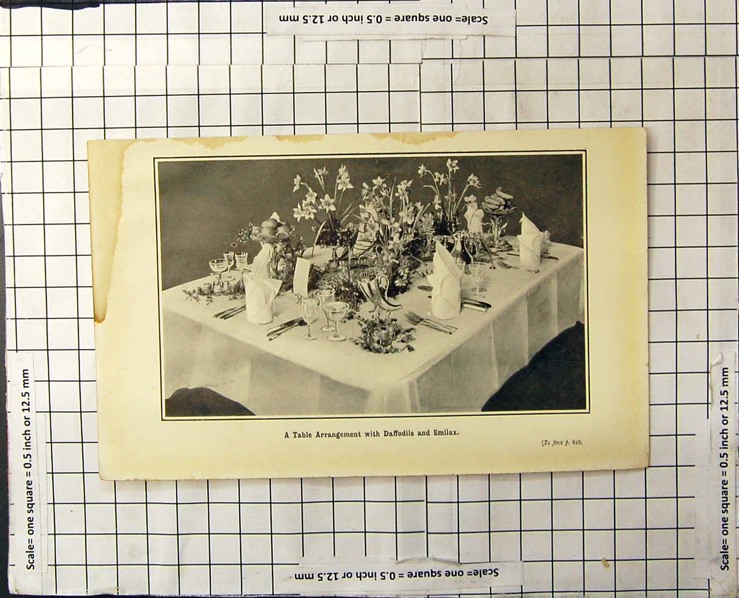 Old Print Table Decoration With Daffodils And Smilax Table Linen Glasses
