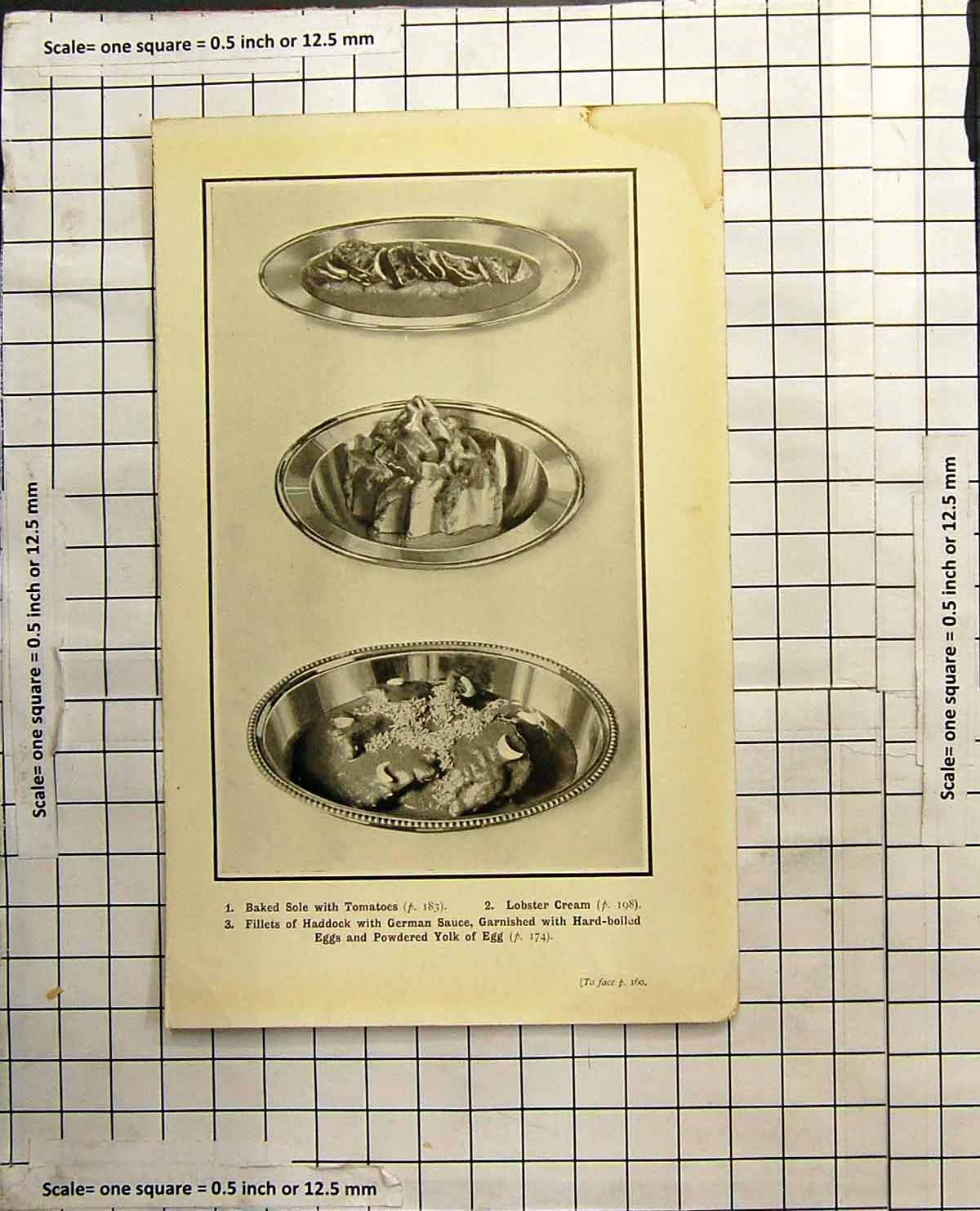 Antique Old Print Baked Sole Tomatoes Lobster Cream Haddock With German Sauce