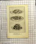 Antique Old Print Cutlets Nelson Lambs Sweetbreads Stewed Chicken With Olives