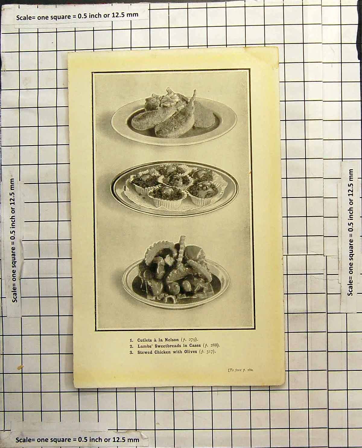 Antique Old Print Cutlets Nelson Lambs Sweetbreads Stewed Chicken With Olives