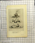 Antique Print Chicken Cream A La Financiere Ballettes Musgrave Jambon Gelee