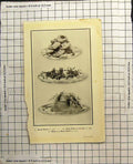 Antique Print Scotch Scones Petits Pates Au Luxette Melon A La Marie Stuart