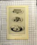 Old Print Home Made Brawn Potato Croquettes Veal Cutlets Milanaise Sauce