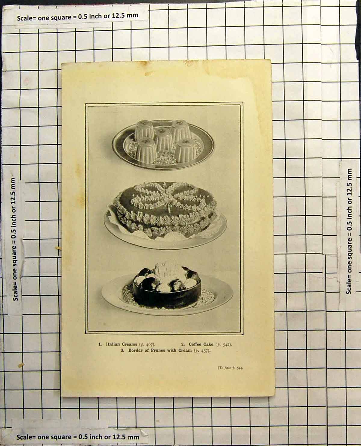 Original Old Antique Print Italian Creams Coffee Cake Border Prunes With Cream