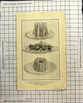 Antique Old Print Lemon Jelly Puree Fruit And Cream Battetes Banana Charlotte