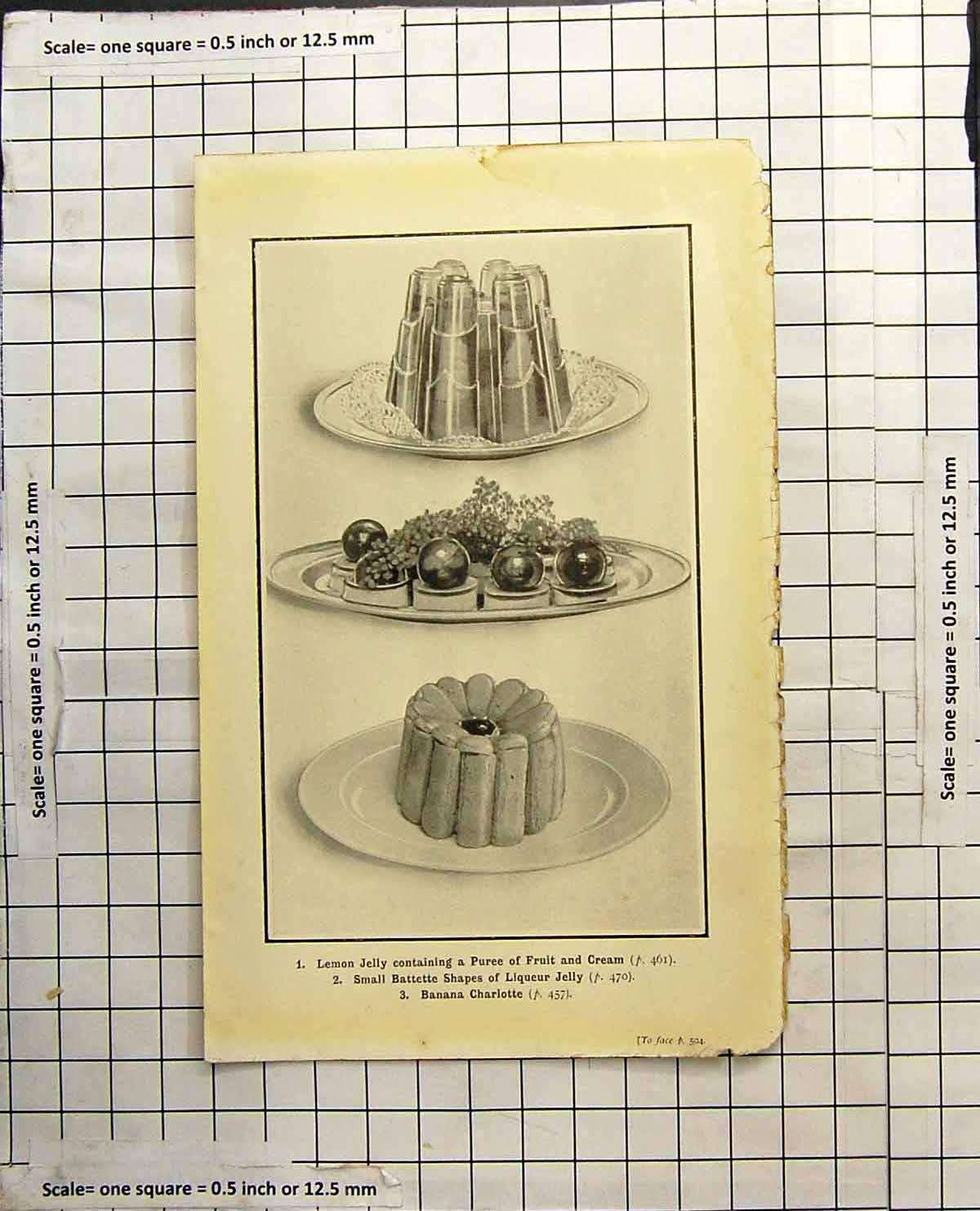 Antique Old Print Lemon Jelly Puree Fruit And Cream Battetes Banana Charlotte